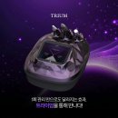 궁극의 색소 솔루션 '트라이엄'