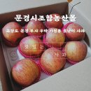 문경 부사 못난이사과, 자연의 시련을 견뎌내 더 달콤한 가정용사과 후기