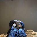 로운 태권도장 이미지