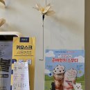 맥다방 - 중구 마장로 3 | 빽다방 춘배 콜라보 총정리 인형 변온컵 스무디 내돈내산 리뷰