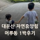 롯데마트 웅상점 - 105363 | 대운산 자연휴양림 머루동 101호 후기｜부산 주변 가성비 가족여행 추천