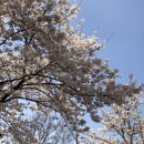 가리내로 이미지