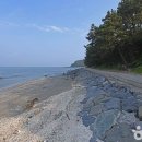 충남종합 관광안내소 이미지