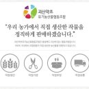 장날옛날통닭 - 횡성군 태기로 35 | 장날옛날통닭