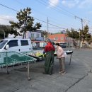 보성회센터 이미지