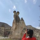 스머프마을 이미지