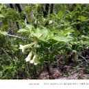 준성2농장 이미지