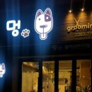 멍그루밍 이미지