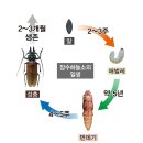 하늘소 - 광명시 오리로964번길 23-1 | 하늘소