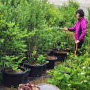 김판정농장 이미지