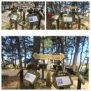 서천 장항 송림산림욕장 그리고 문헌서원 탐방기