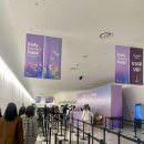 스타 | 2025 컬리뷰티페스타 후기