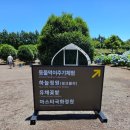 돼지몰이 | 휴애리 돼지먹이주기