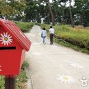 시집가는 딸에게 준 향기로운 꽃, 정읍 옥정호구절초테마공원 이미지