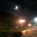 입화산 참살이숲 제2오토야영장 이미지