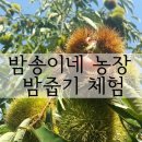 송이네농장 이미지