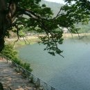 동고사 - 1244 | 동고사