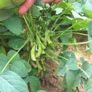 우람농장 이미지