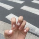 다함 여행사 이미지