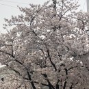 호생한의원 이미지