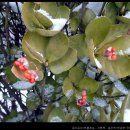 눈꽃회관 이미지