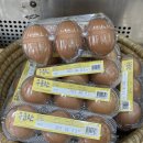 봉동앤김밥
