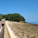 자갈마당 이미지