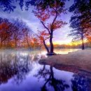 별자리심리 이미지