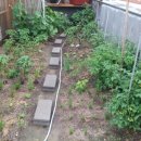 화실농장 이미지