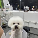 우프루프 이미지