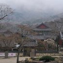 영랑민박 이미지