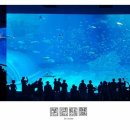 77수족관 이미지