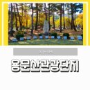 2023년 가을 단풍 절정 시기 경기도 양평 용문산 은행나무 단풍 명소 가볼만한곳
