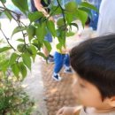 강담어린이집 이미지