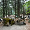 은미약국 이미지