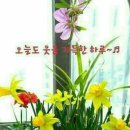 하루에한번은