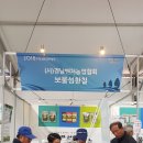 보물섬황칠