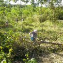 중곤농장 이미지