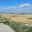 가야뜨리요가 | Camino de Santiago #24