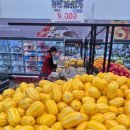 싱싱할인마트 | 중앙할인마트 장보기 후기 🛒