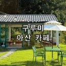 밤바나무