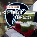 Dog차지 | 도하 로컬 카페 티타임 Tea Time시티센터몰점과 루사일점 비교
