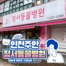 정서동물병원 | 고양이 방광염, 요로결석 치료 후기 인천 정서동물병원