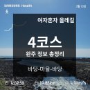 RR-741[완주로]-상-1 | [제주 올레길 4코스] 완주 정보 총정리 (지도, 정류장, 주차, 날씨, 식당, 볼거리 top3, 소요시간)