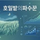 일본과자 구매 시 고려할 영향과 쇼핑 주의사항
