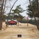 푸른꿈여행 이미지