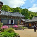 해강목장 이미지