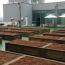 바이오그린 이미지