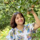 준수농장 | 🌿 베트남 안장성 누이다이 사포체 농장 완벽 가이드 | 자연 속 힐링 체험 여행지