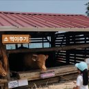 초원어린이집 이미지